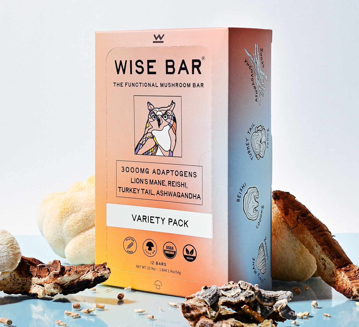 Wise Bar variety pack